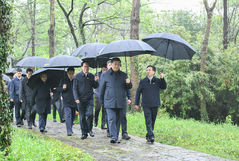 3月29日至4月1日,中共中央总书记、国家主席、中央军委主席习近平在浙江考察。这是3月31日,习近平在杭州西溪国家湿地公园察看湿地保护利用情况。